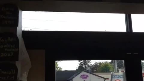 Unique decorations. RIP everyone.