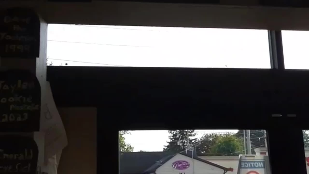 Unique decorations. RIP everyone.