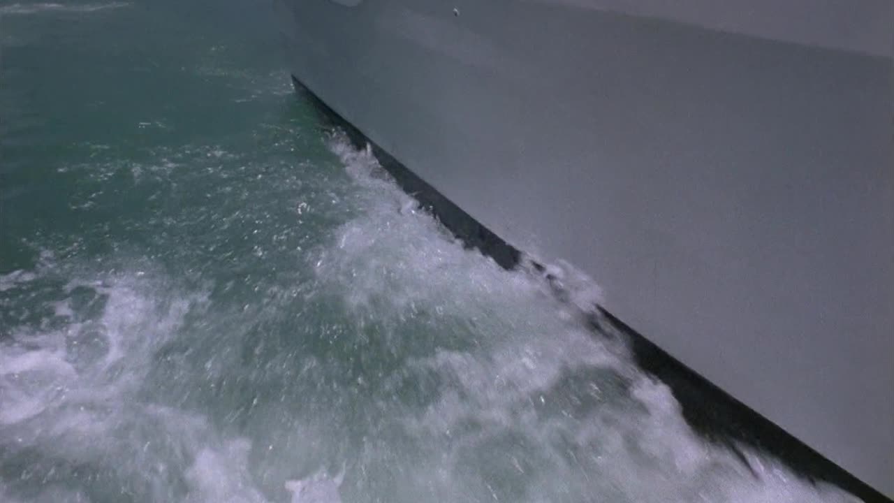 Devil.Fish.1984.BluRay film