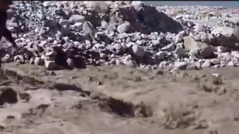 😂🌉 EPIC Fail: Trying to Cross the River! | FunFM