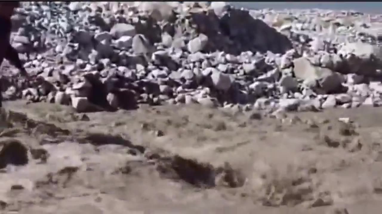 😂🌉 EPIC Fail: Trying to Cross the River! | FunFM