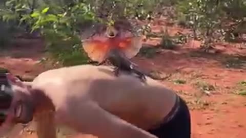 Cute animal attack a man.