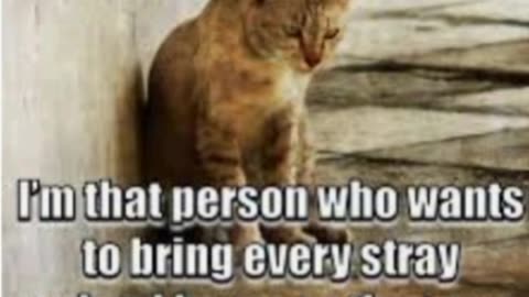 🐾 And i know many of you, feel the same way..