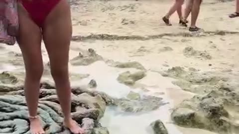 😉🤣🤣🤣🤣