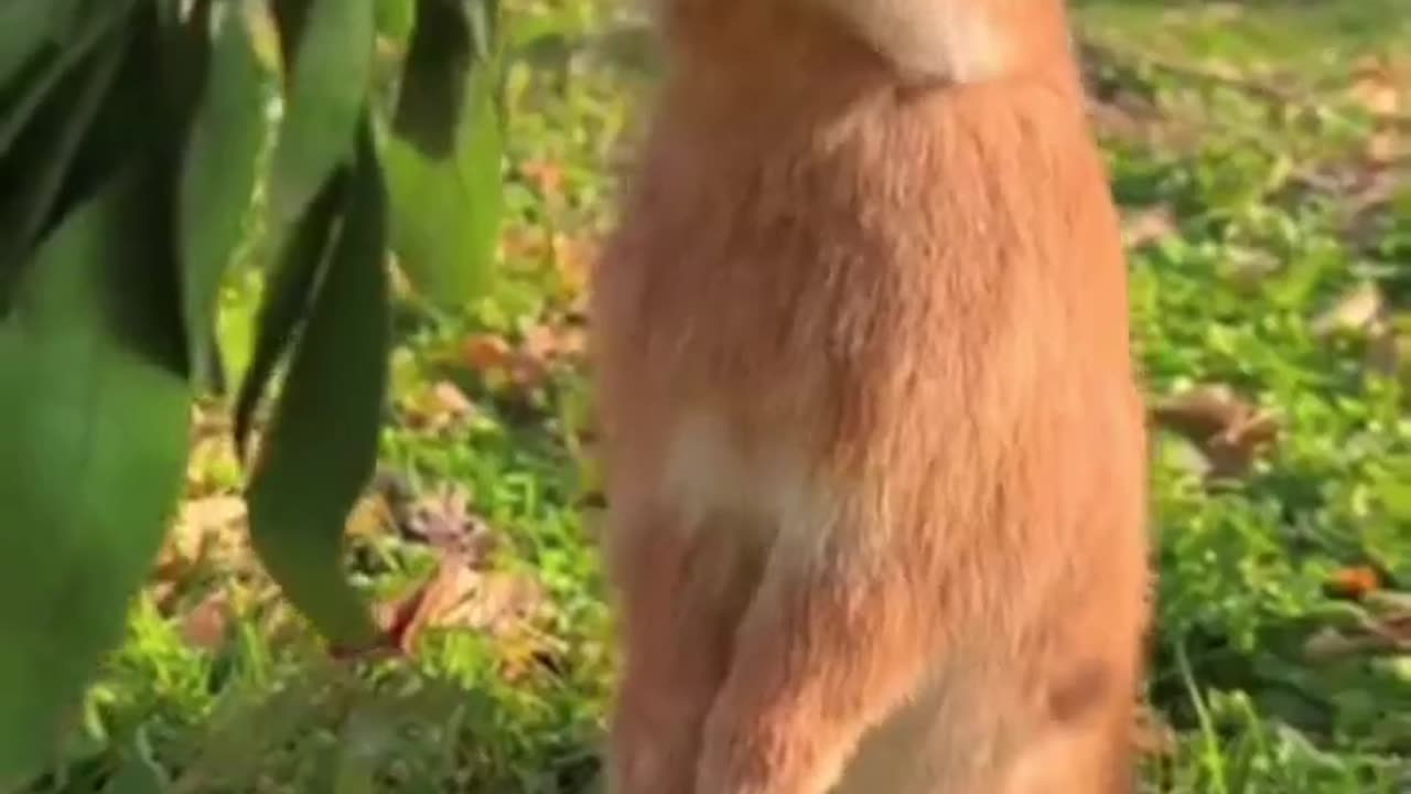 O Poder da Persistência: Nunca Pare!