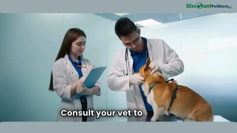 Topical vs Oral vs Collar Flea & Tick Treatments for Dogs – What’s Best?