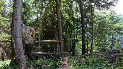 BUILDING an off-grid SURVIVAL SEHLTER and overnight stay