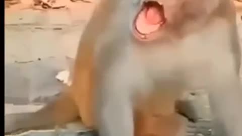 Funny video..😂🤣