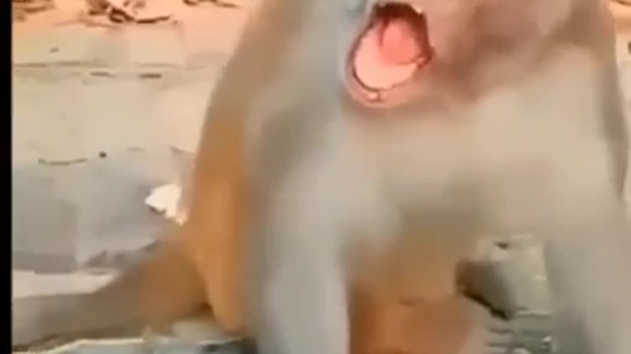 Funny video..😂🤣