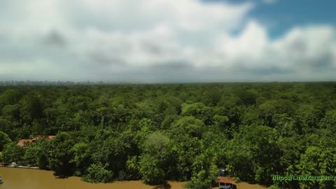 O rei do Pará