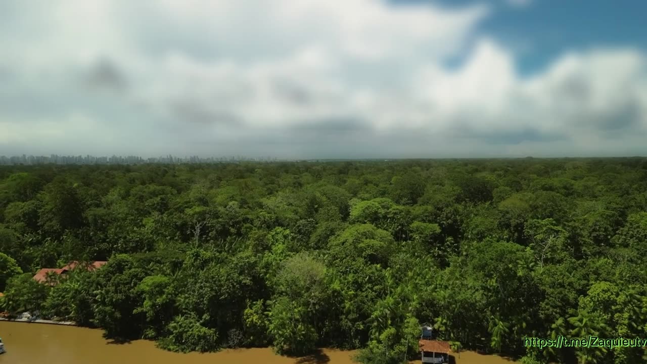 O rei do Pará