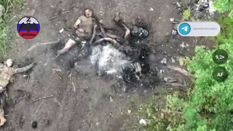 War in ukraine