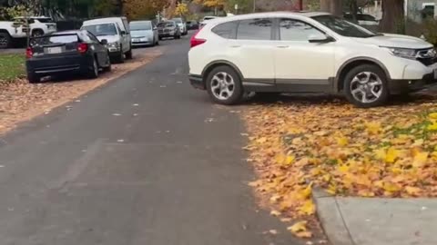 Big Talk Benito is out again today with his big mouth harassing DHS agents in South Chicago,