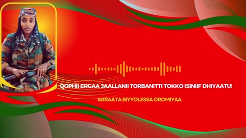 Qophii Ergaa Jaallanii ONM-ABO Hagayya 24-2025 itti dhiyaadhaa!