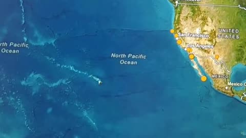 ABC ISLAND SERPENT HEAD: THE SERPENTS are AWAKEN and MOVING. V50