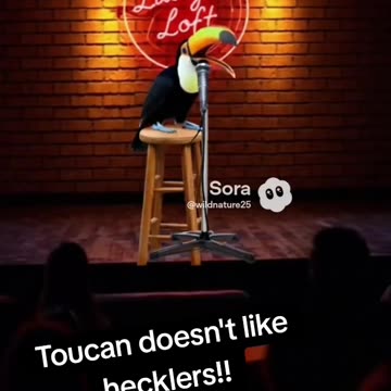 Comedian Toucan does not appreciate heckler!