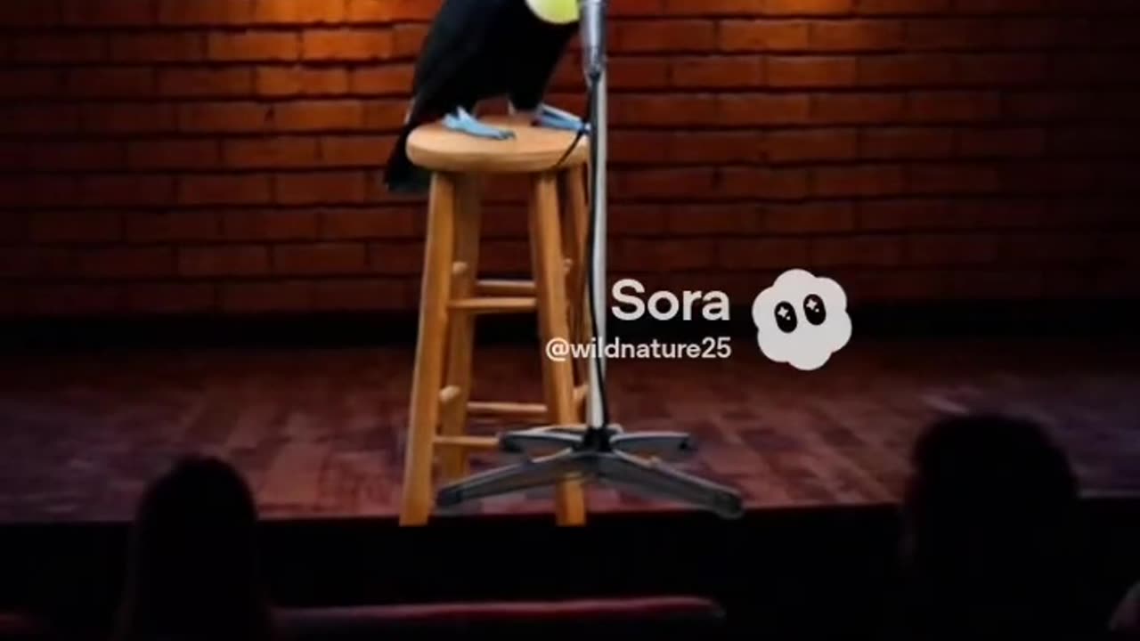Comedian Toucan does not appreciate heckler!