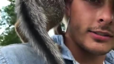 it's a dog
