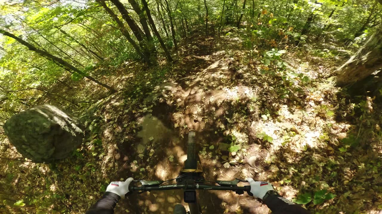 Velo MSM - First Time - Blind Runs