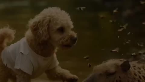 🐶 Hero Dog Saves Capybara from Bees! 🐝💖 #doglover #heartwarming #youtubeshorts