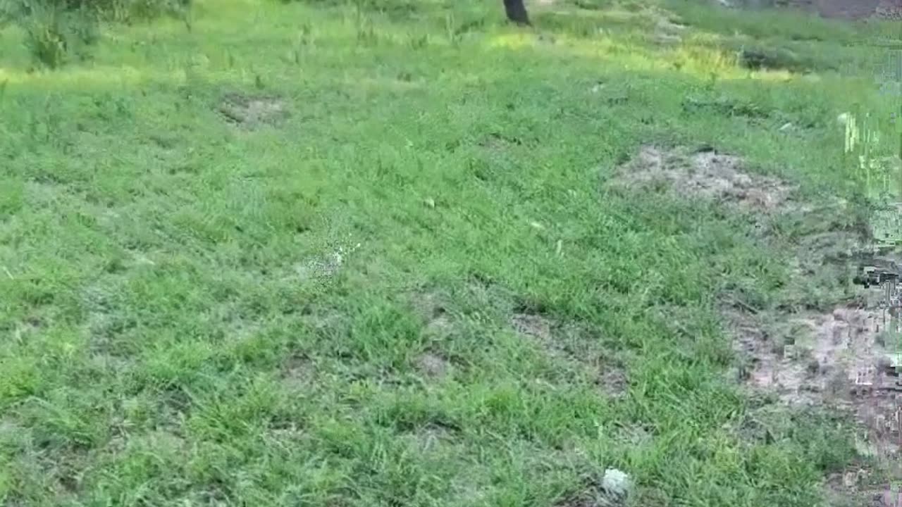 Watch Out he is coming Back