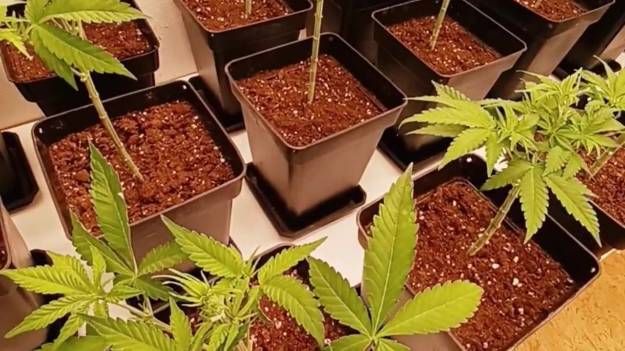 Seguimiento 12.2 (Capitulo 3º)