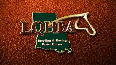 2025 LQHBA Yearling Sale Day 2