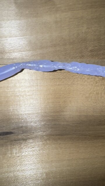 Maple sap line damage