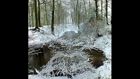 Andy Martin - Epitaph For Stephen Parsons (2013).
