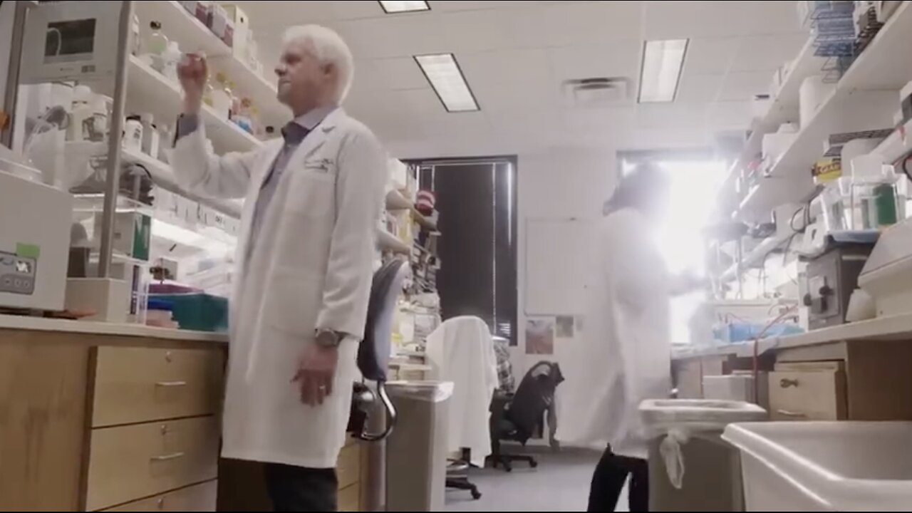 The Genetic Revolution With CRISPR - The Manipulation of Human DNA
