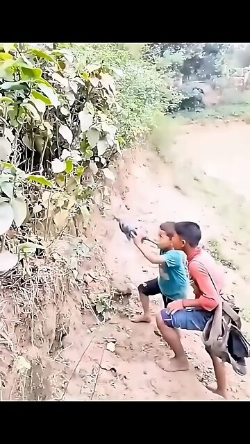 funny video comedy viral