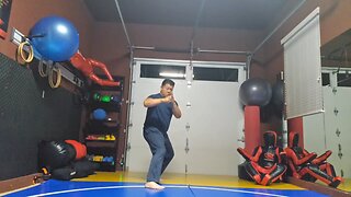 WTD 2 Step Kick Combination 169
