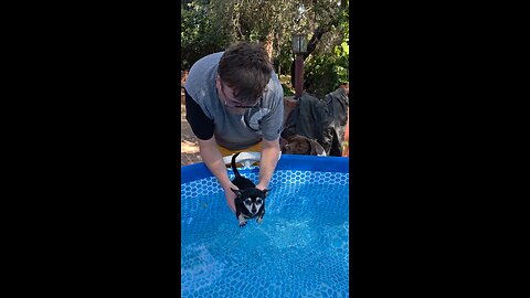 Doggie paddle