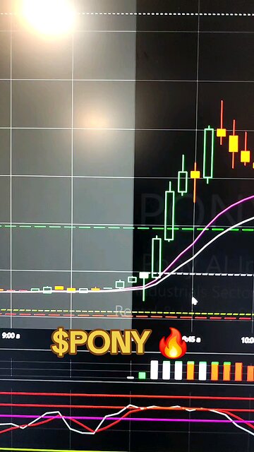 $PONY🔥
