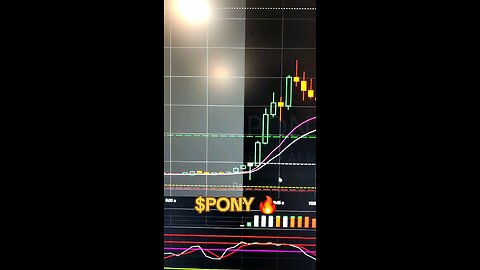 $PONY🔥