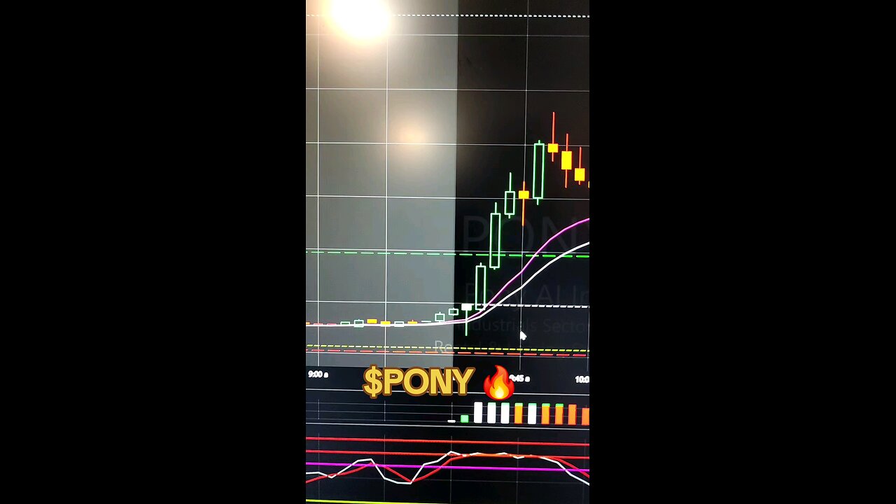 $PONY🔥