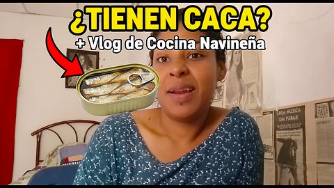 The drama of the sardines, stray cats, and rushed recipes 😹