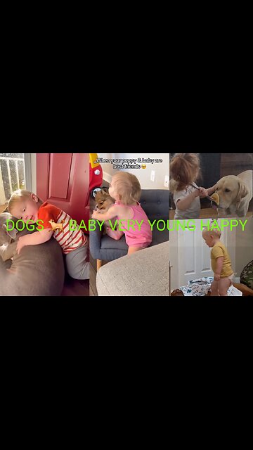 DOGS ARE VERY GOOD 👍 👌