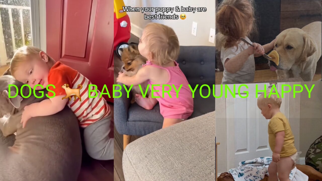 DOGS ARE VERY GOOD 👍 👌