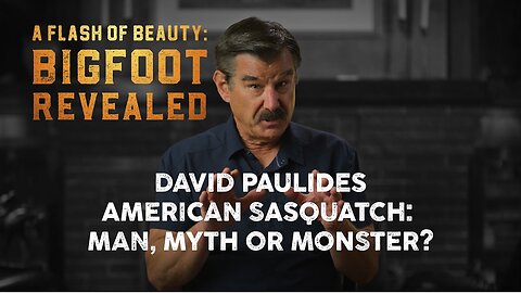 A Flash of Beauty | David Paulides