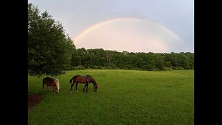 New Jersey's Farmland Preservation Program-FRAUD & SWINDLE
