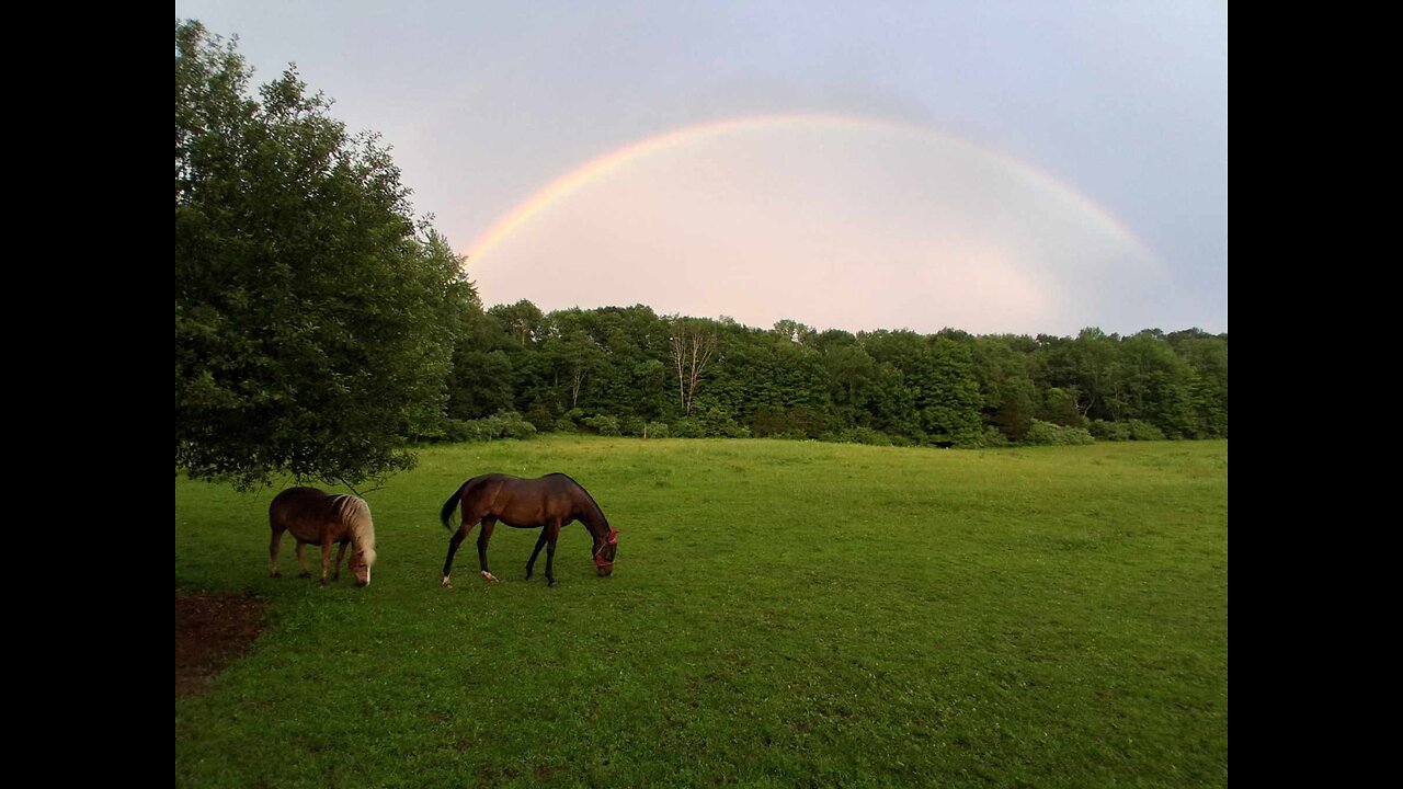 New Jersey's Farmland Preservation Program-FRAUD & SWINDLE