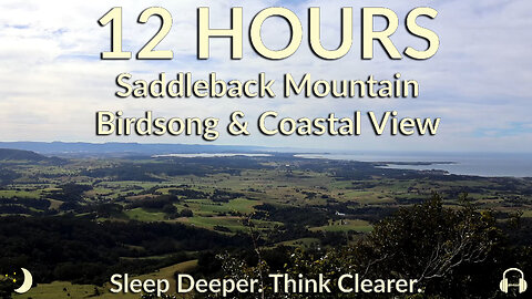 Birdsong Over Kiama Views | Saddleback Mountain Lookout Nature Ambience [12 Hours]