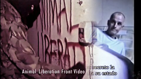 A Prayer 2 Rise Against ✊ ALF