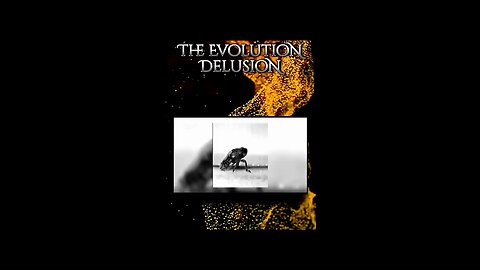 evolution is not sconce