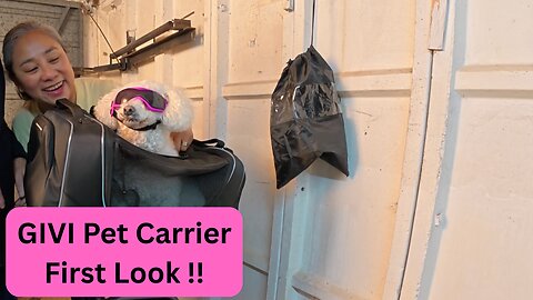 TRANSPORT PUSSY | and PUPPY The Givi Monokey 33Ltr Pet Carrier for your motorbike