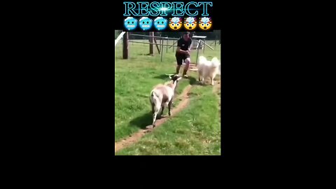 Respectio