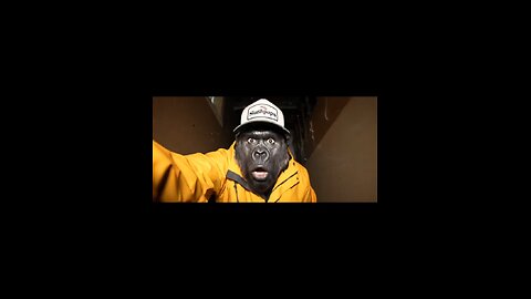 Scary basement investigation!