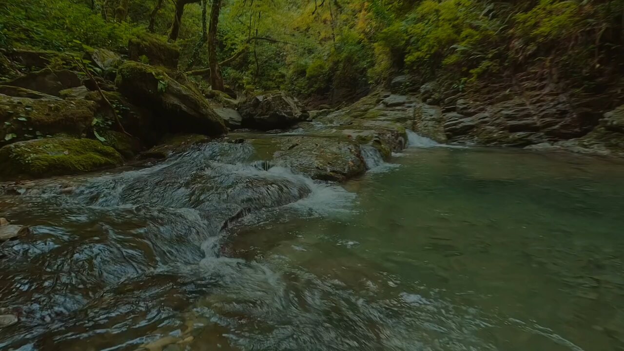 "Relaxing Nature Video | Peaceful River & Wild Elephants