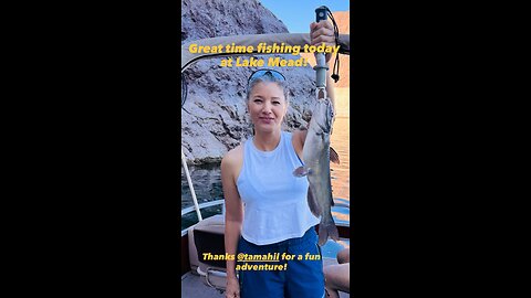 Cross kick Studio Studio Films Kelly HU Moore Model 113